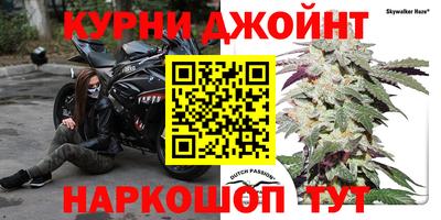 jwh Будённовск