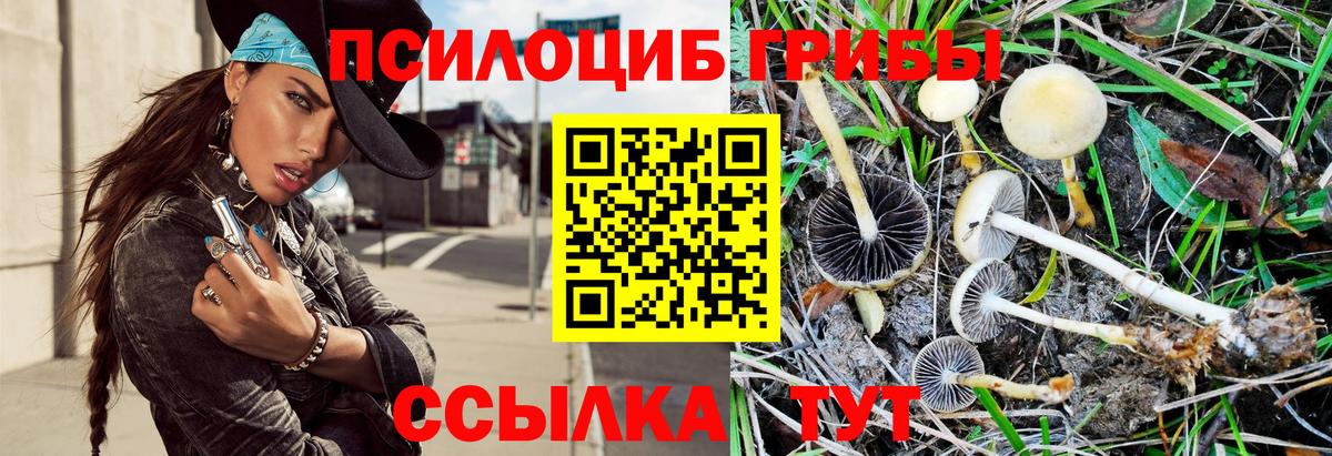 цена   Галлюциногенные грибы мухоморы  Галлюциногенные грибы мицелий  Вход с VPN  Старый Оскол 