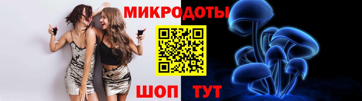 Галлюциногенные грибы Psilocybe Старый Оскол